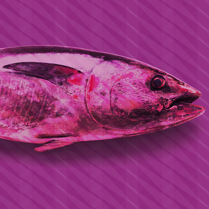 Thunfisch-Fototapete im Pop Art Stil – Violett, Rosa, Rot – Mattes Glattvlies
