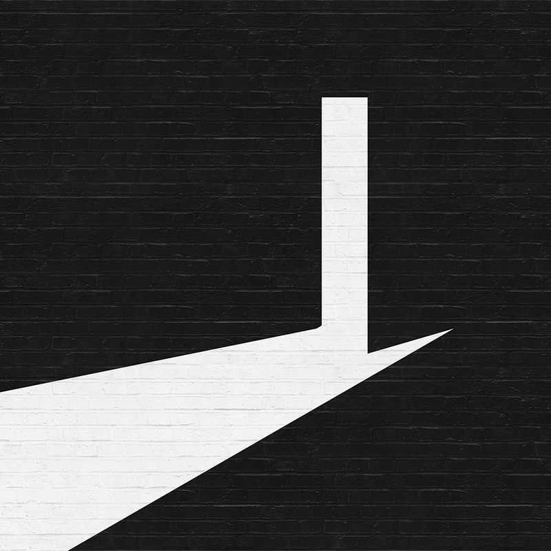         Fototapete Mauer-Ziegel, Schwarz-Weiß Grafik-Design – Weiß, Schwarz
    