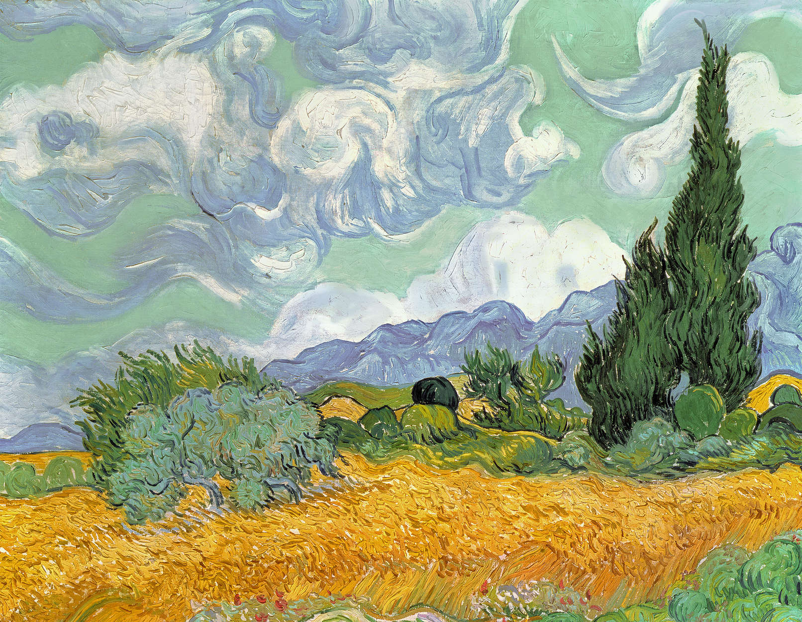             Fototapete "Weizenfeld mit Zypressen" von Vincent van Gogh
        