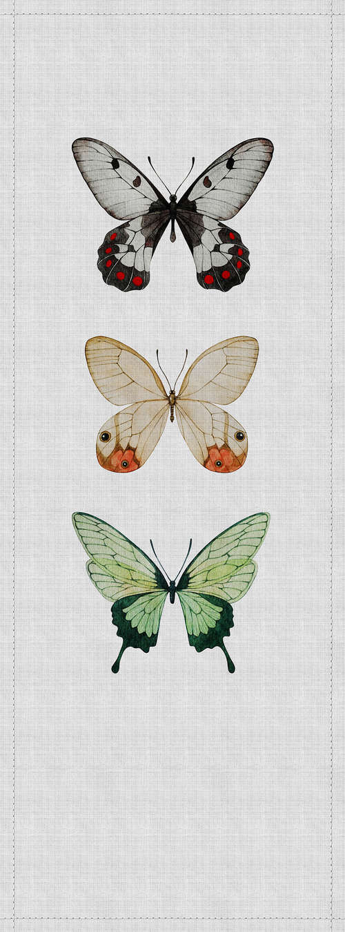             Buzz panels 2 - Fotopaneel in naturleinen Struktur mit bunten Schmetterlinge – Grau, Grün | Mattes Glattvlies
        