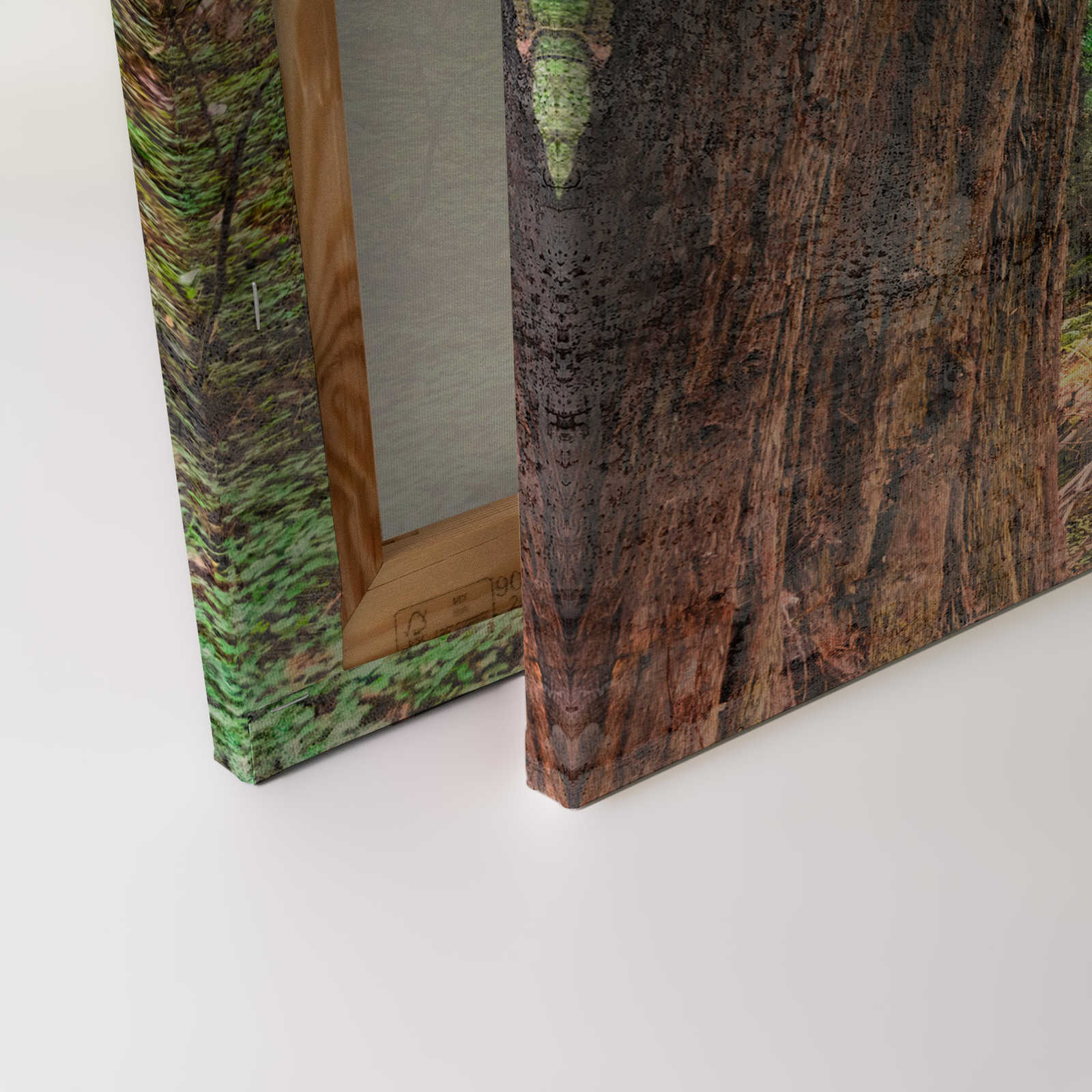             Leinwand mit Holztreppe durch den Wald | braun, grün, blau – 0,90 m x 0,60 m
        