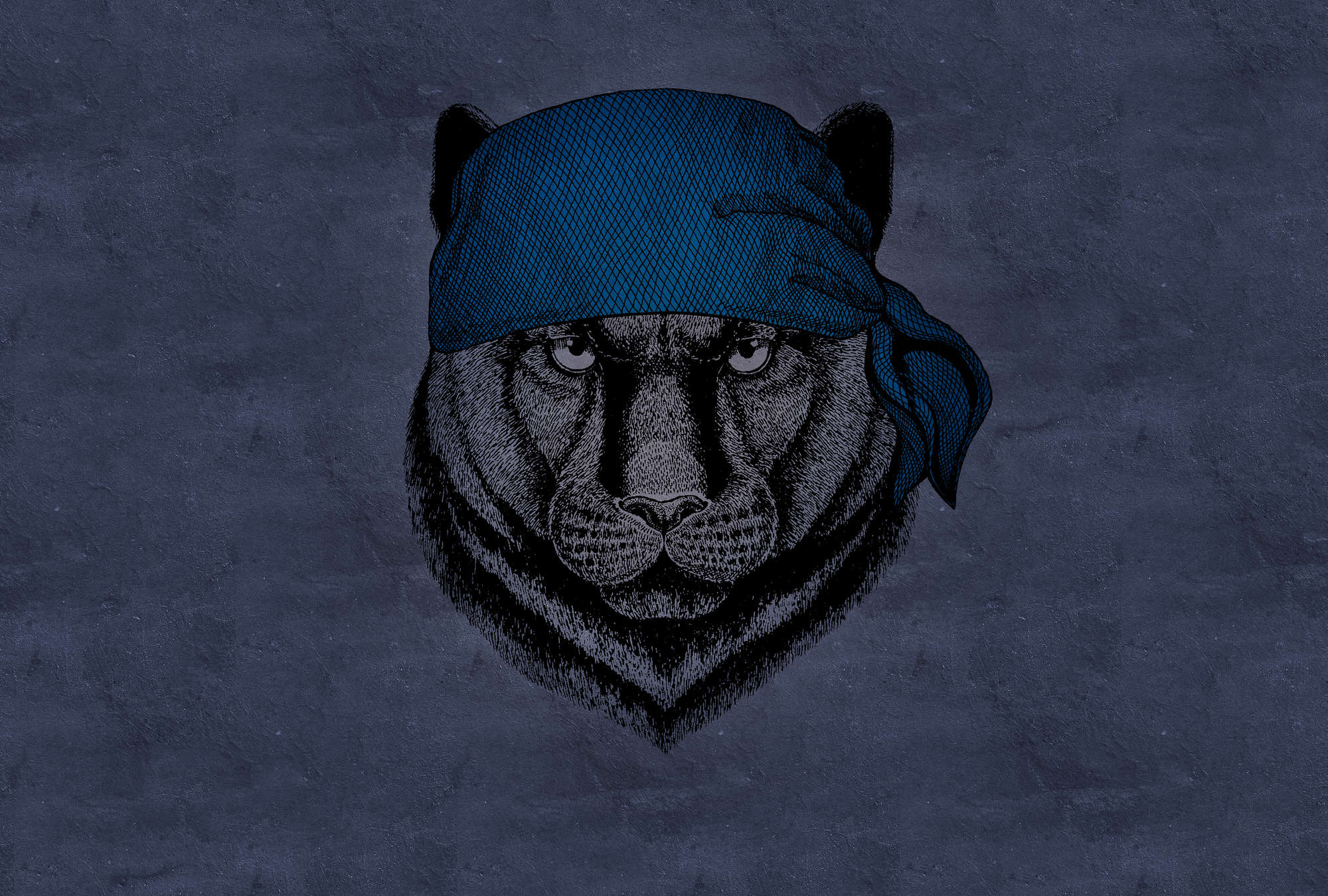             Fototapete Panther im Piraten-Look – Blau, Schwarz
        