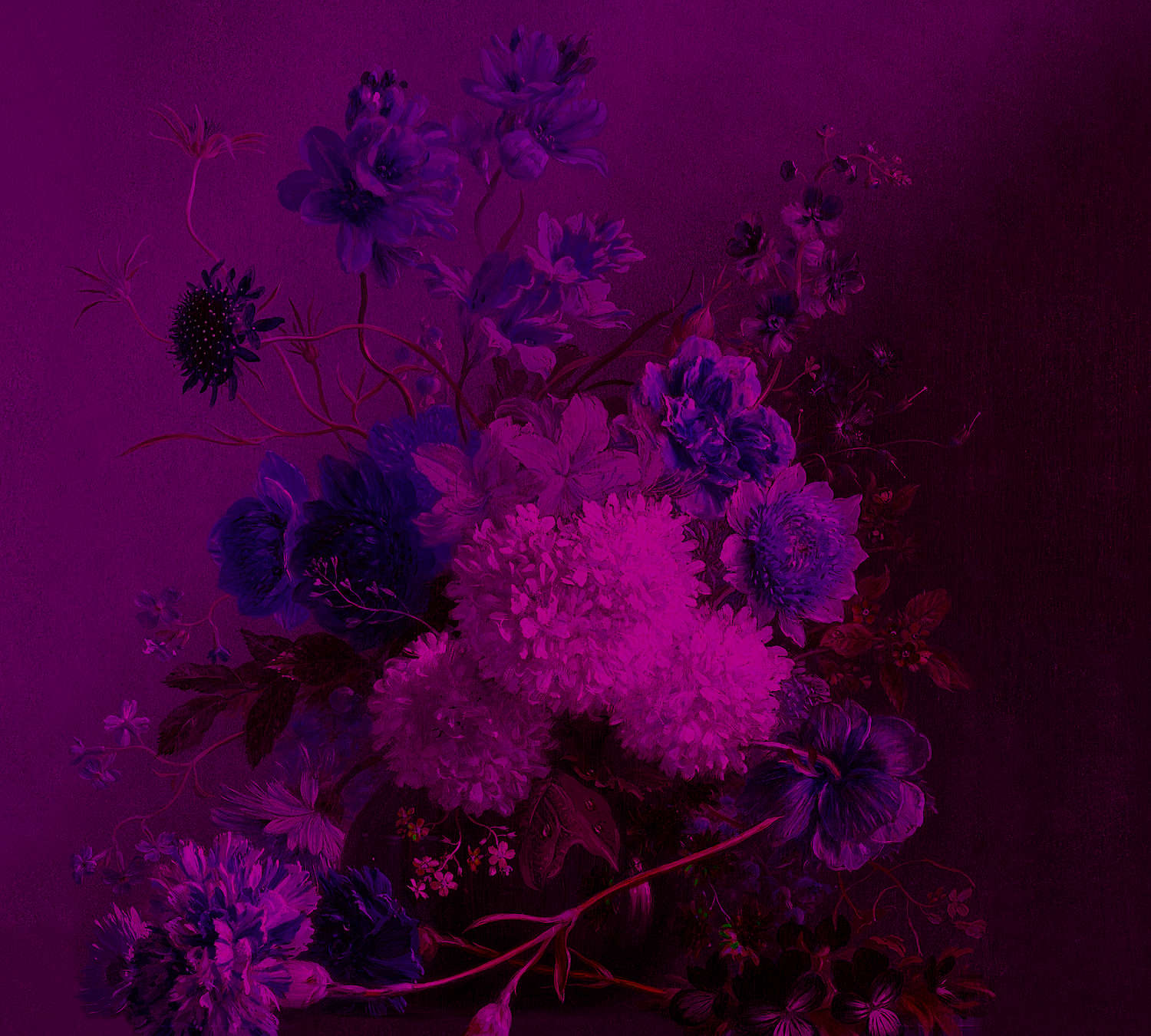             Neon Fototapete mit Blumen Stillleben – Lila, Rosa
        
