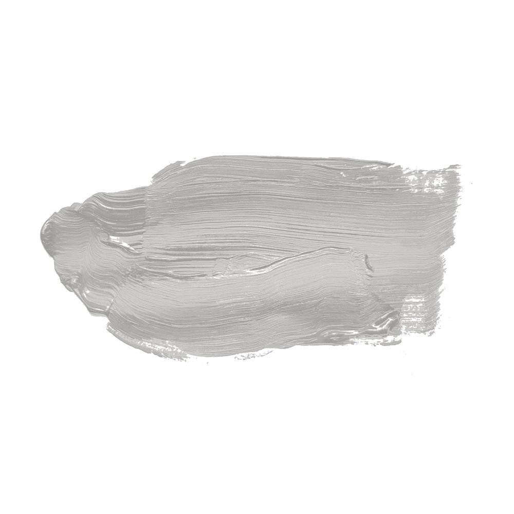             Wandfarbe in schlichtem Silbergrau »Sprat Fish« TCK1009 – 2,5 Liter
        