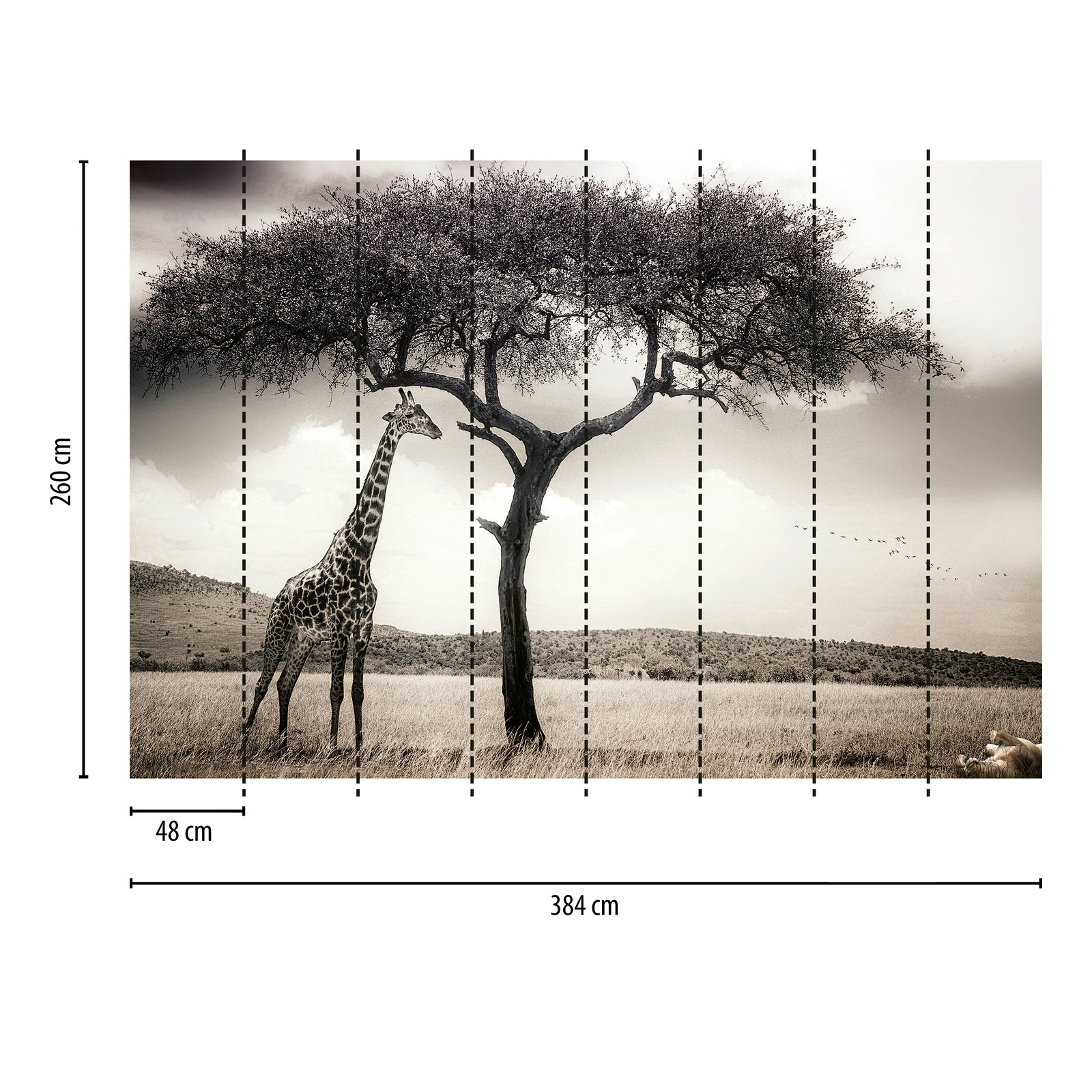             Fototapete Safari Tier Giraffe – Grau, Weiß, Schwarz
        