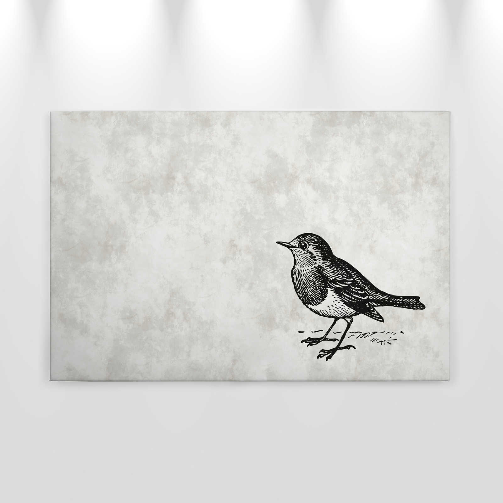             Schwarz-Weißes Leinwandbild mit Vogel – 0,90 m x 0,60 m
        