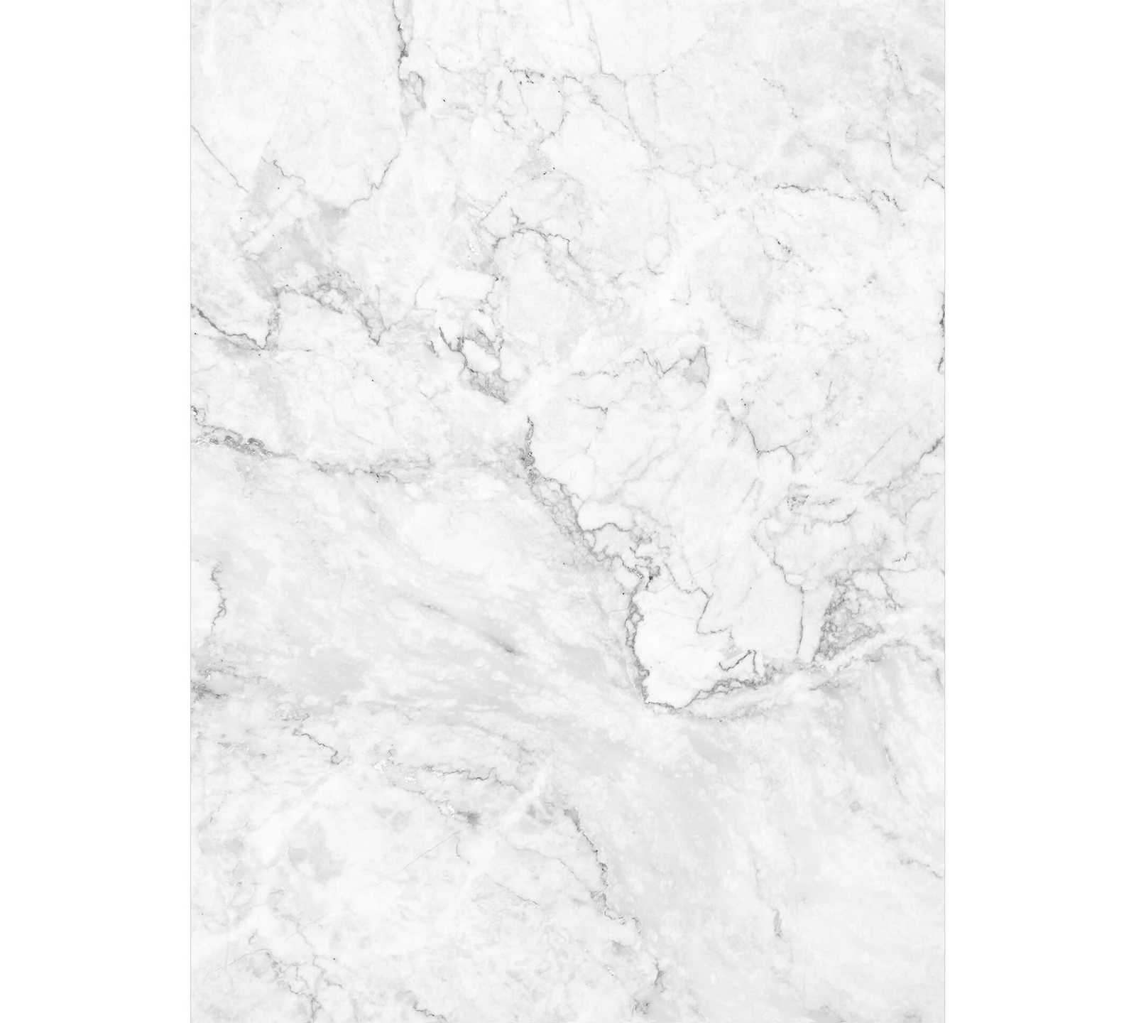 Marmor Fototapete schmal – Weiß, Grau
