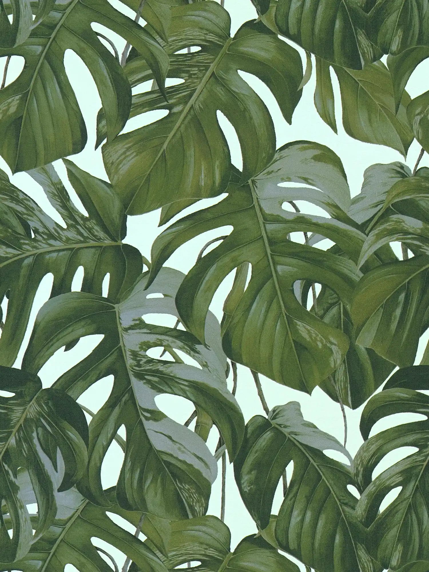 Blätter Tapete mit Monstera Muster von MICHALSKY – Grün
