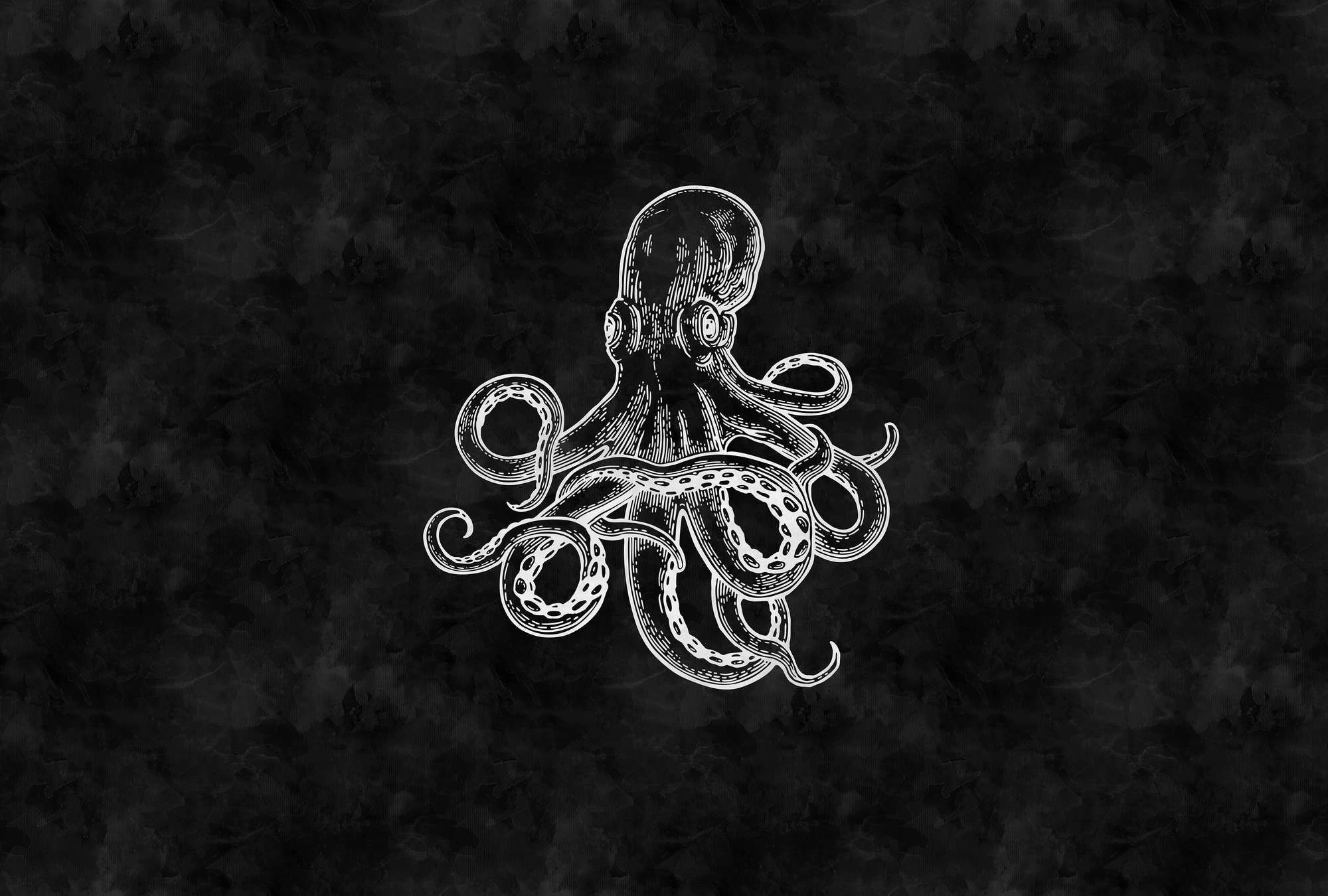             Schwarz-Weiße Fototapete Oktopus & Tafel-Look
        