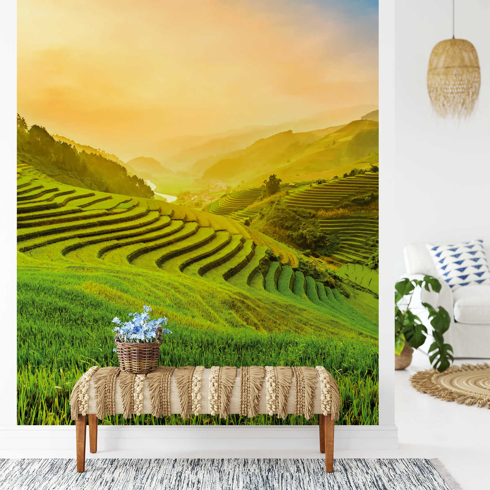             Vietnam Fototapete Reis-Terrassen im Sonnenlicht
        