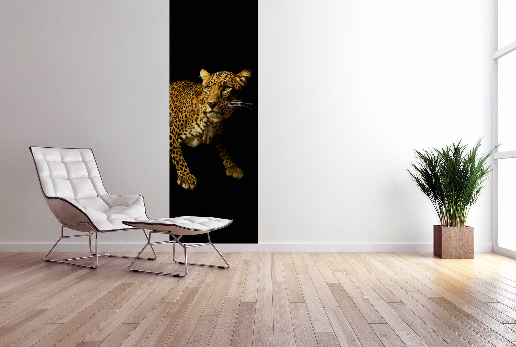             Tier Fototapete Leoparden Motiv auf Premium Glattvlies
        