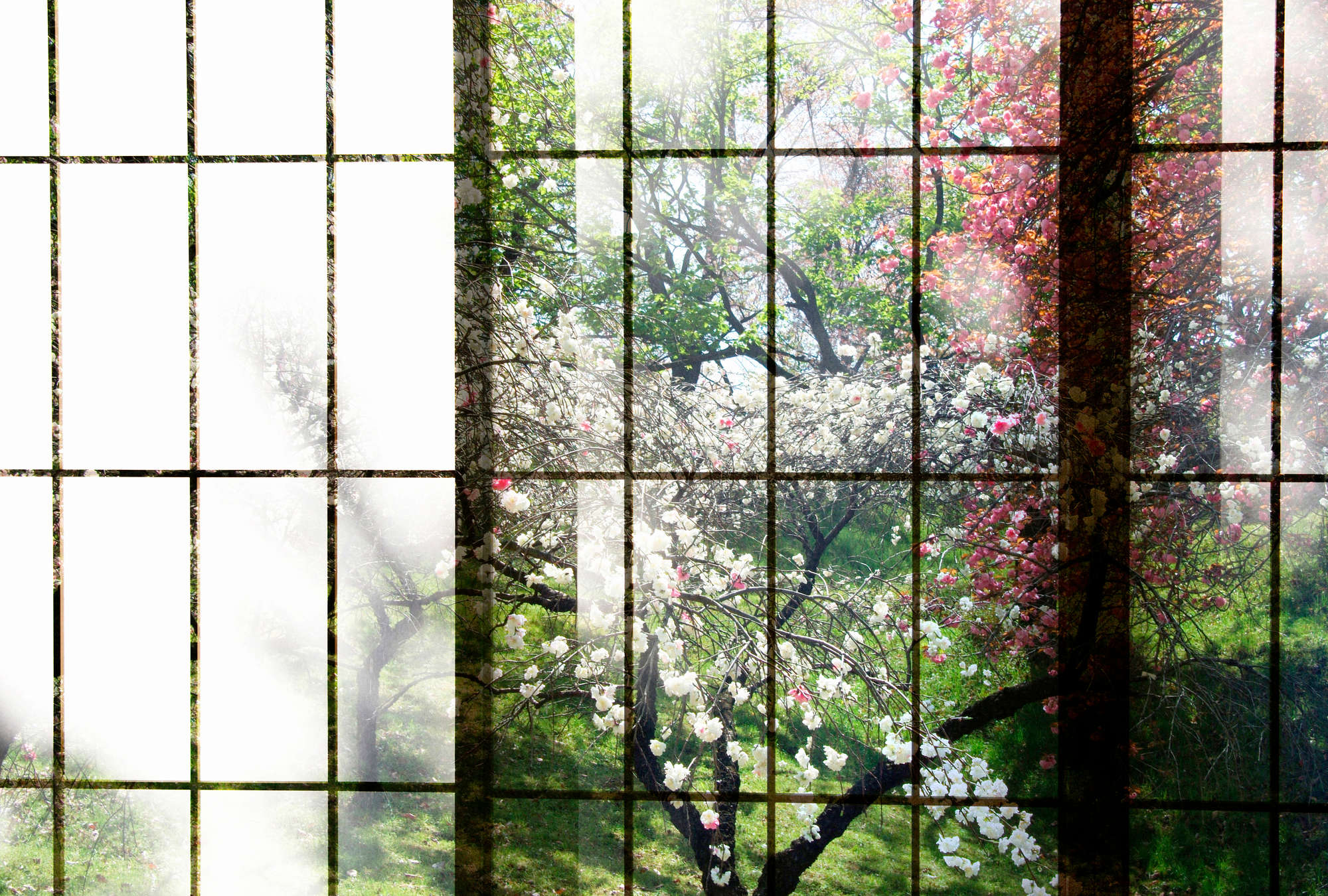             Orchard 2 - Fototapete, Fenster mit Garten Ausblick – Grün, Rosa | Perlmutt Glattvlies
        