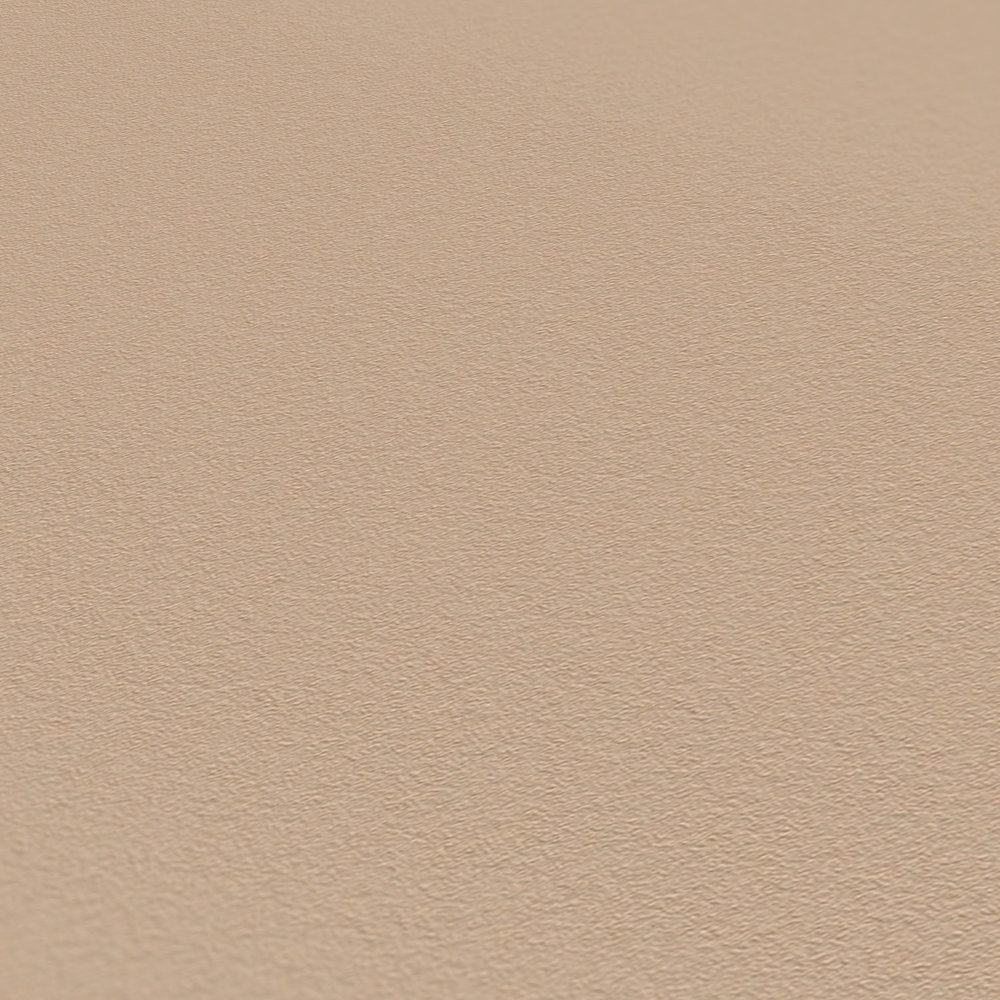             Einfarbige Tapete Hellbraun mit glatter Oberfläche – Beige, Braun
        