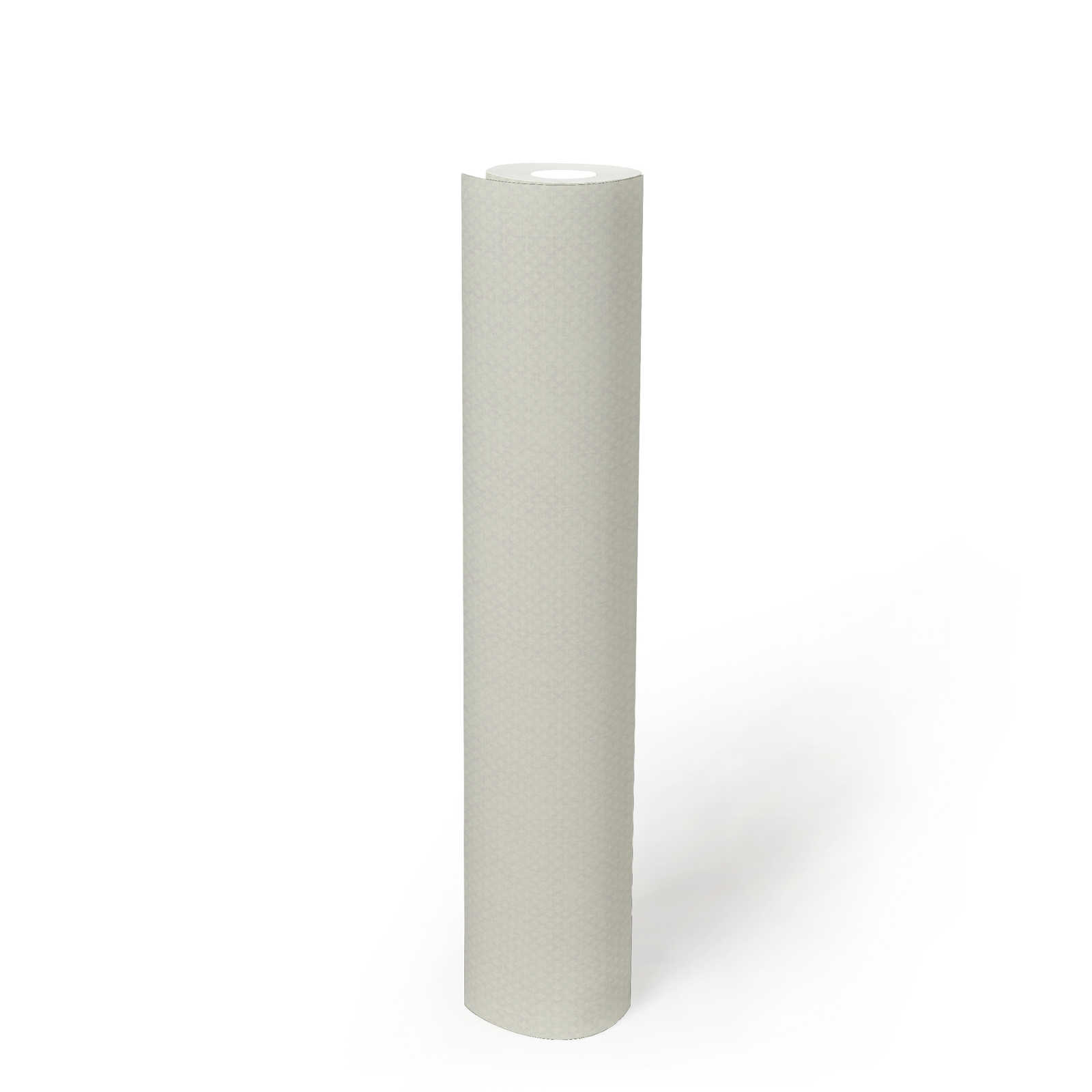             Vliestapete mit feinem Strukturmuster – Hellgrau, Weiß
        