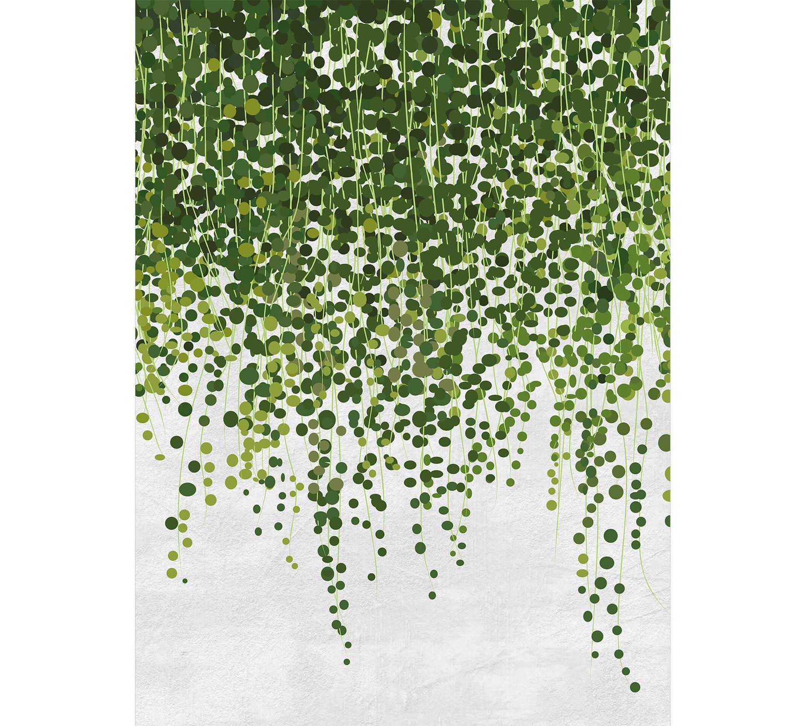             Fototapete Hängende Pflanzen – Grün, Grau
        