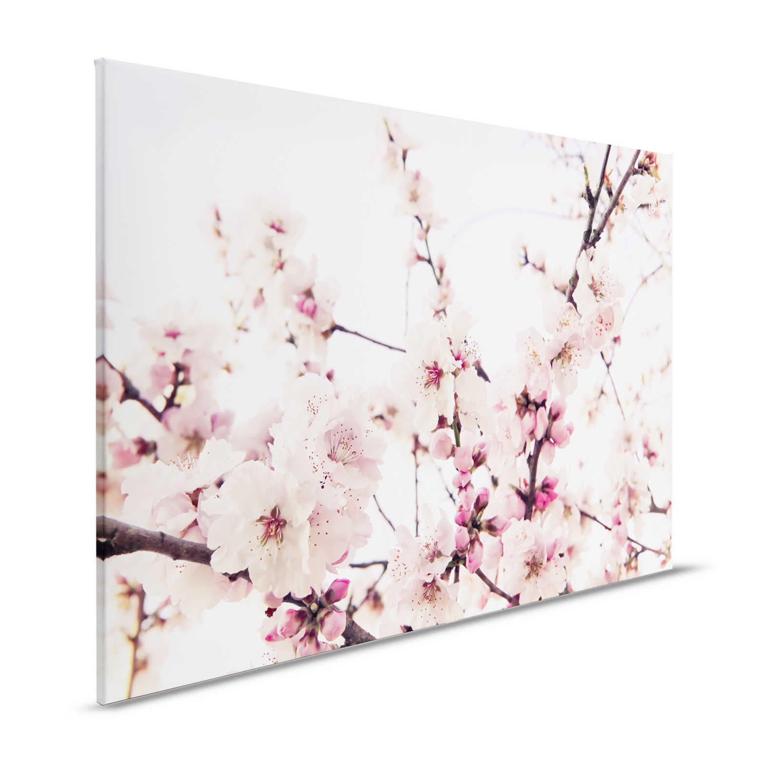 Natur Leinwandbild mit Kirschblüten – 1,20 m x 0,80 m
