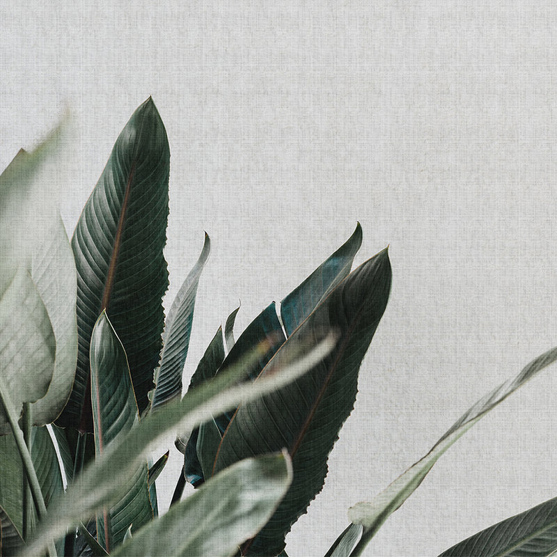 Urban jungle 1 - Fototapete mit Palmenblättern in naturleinen Struktur – Grau, Grün | Perlmutt Glattvlies
