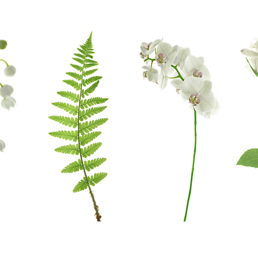 Fototapete Blumenvielfalt in Weiß – Strukturiertes Vlies
