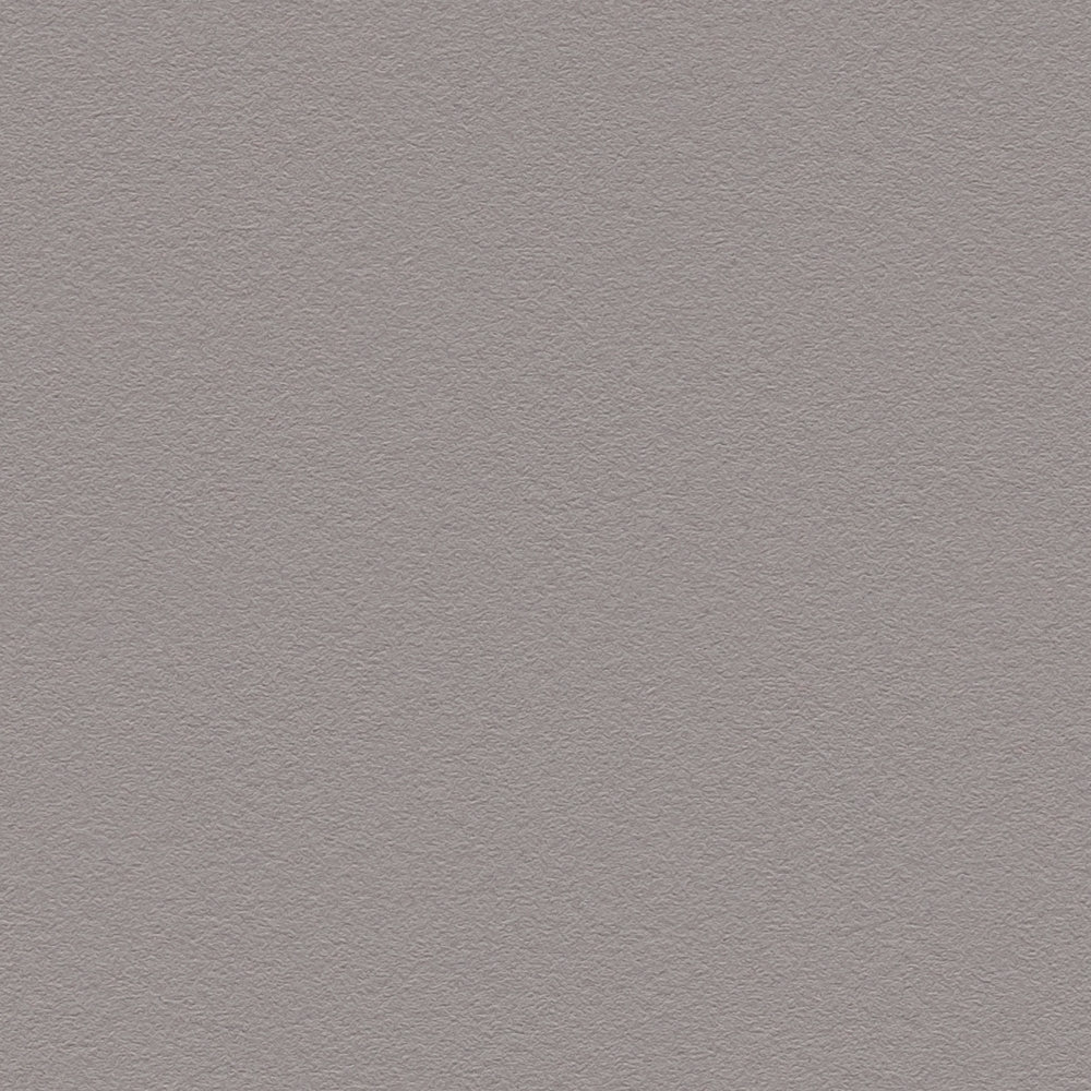             Vliestapete dunkles Grau mit glatter Oberfläche – Grau
        