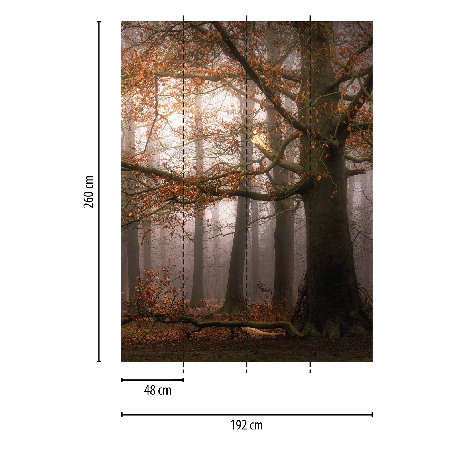            schmale Fototapete herbstlicher Wald
        