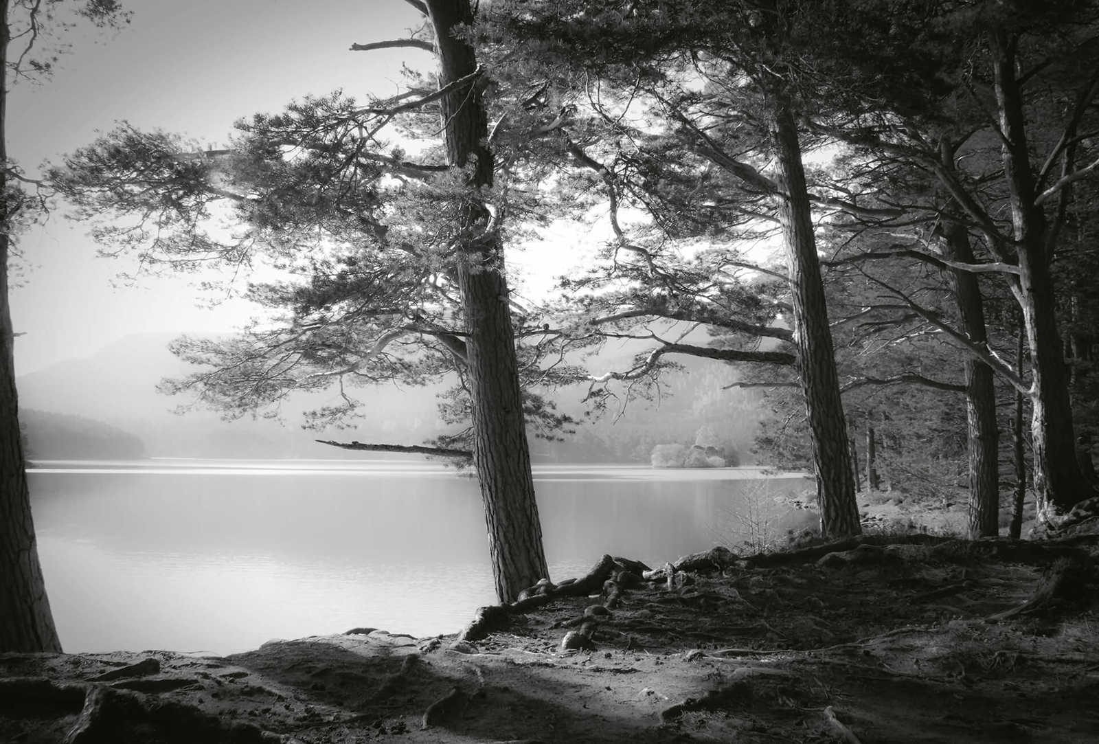 Fototapete Wald mit See – Schwarz, Weiß, Grau
