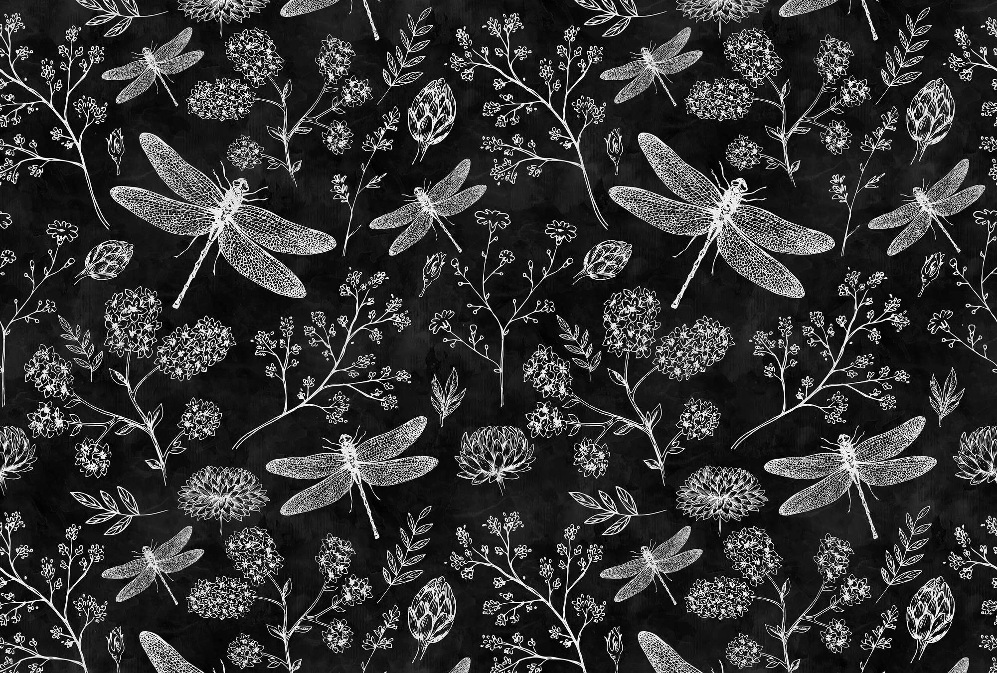             Schwarz-Weiß Fototapete Libellen & Blumen
        