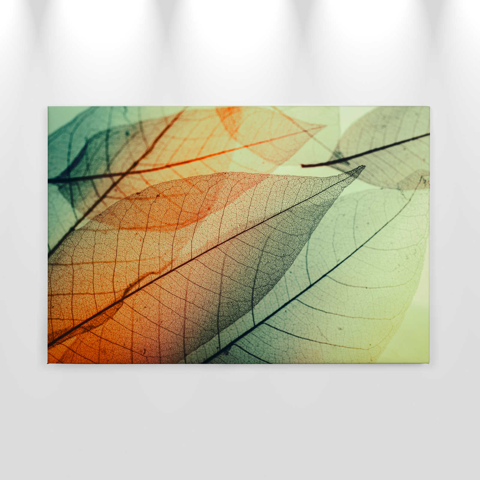             Leinwand mit Blätter-Design – 0,90 m x 0,60 m
        