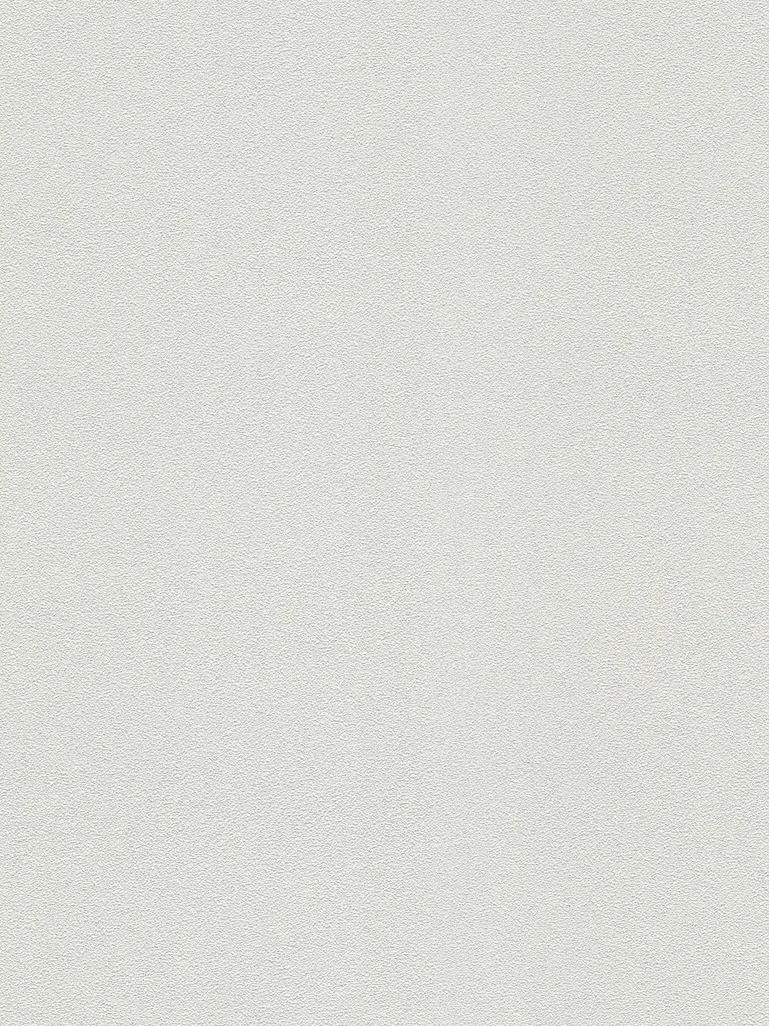         Tapete mit flacher Filzputz-Struktur – Überstreichbar, Weiß
    