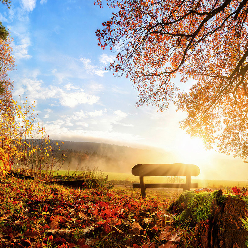 Fototapete Bank im Wald an einem Herbstmorgen – Mattes Glattvlies
