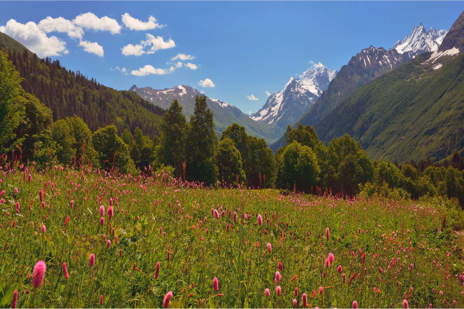             Natur Leinwandbild Wiesen- und Berglandschaft – 0,90 m x 0,60 m
        