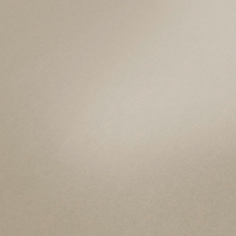             Einfarbige Tapete Taupe matt Finish – Grau
        