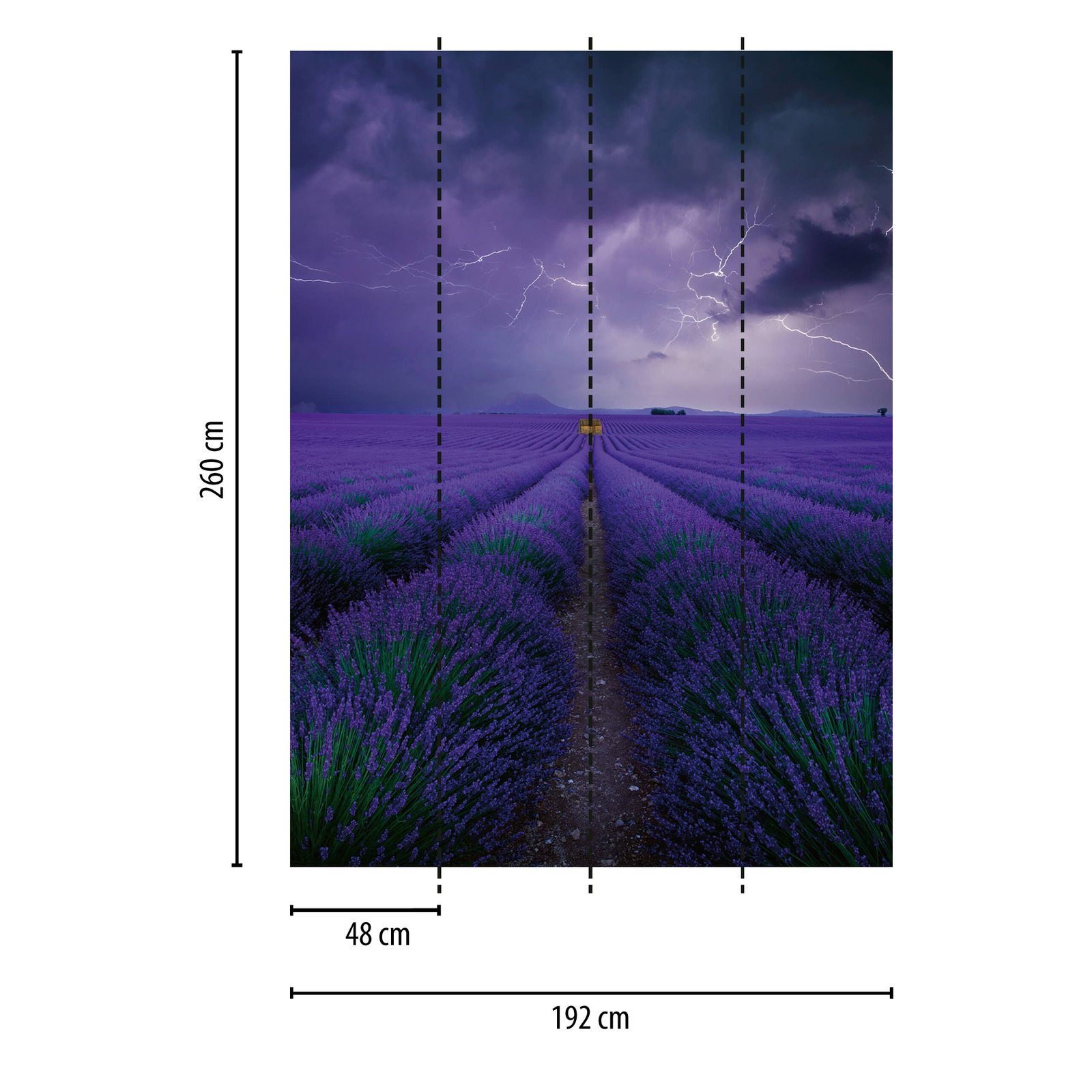             Fototapete Feld mit Lavendel – Violett, Grün, Braun
        