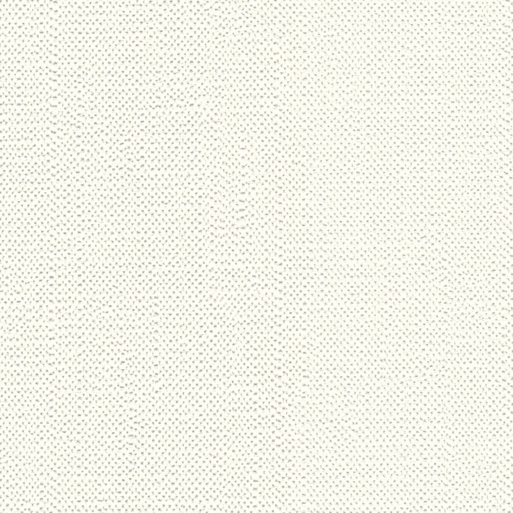             Vliestapete Weiß einfarbig matt mit Schaumstruktur
        