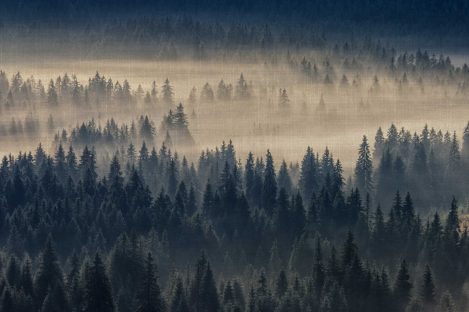             Leinwandbild mit Waldlandschaft auf Leinenstruktur-Optik – 0,90 m x 0,60 m
        