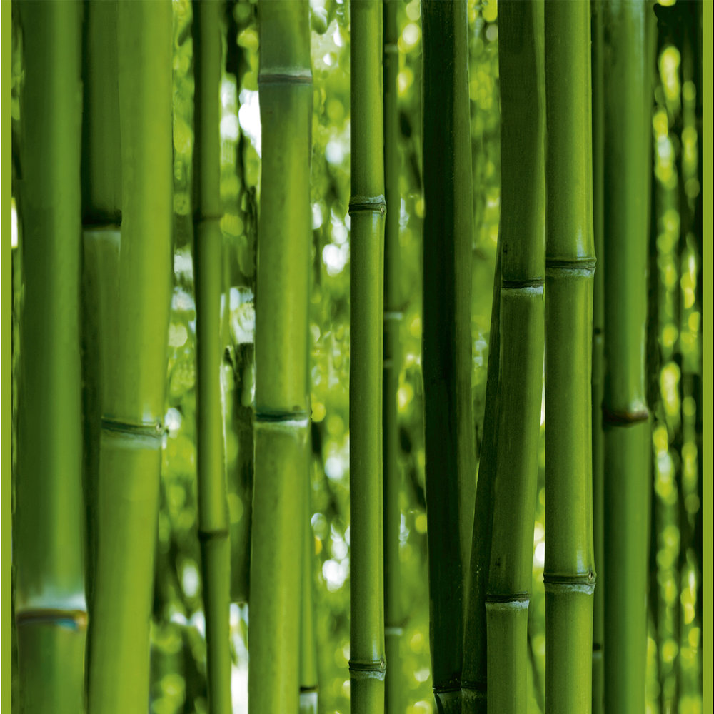             Selbstklebendes Pop Up Tapeten Panel mit Bambus Wald – Grün
        