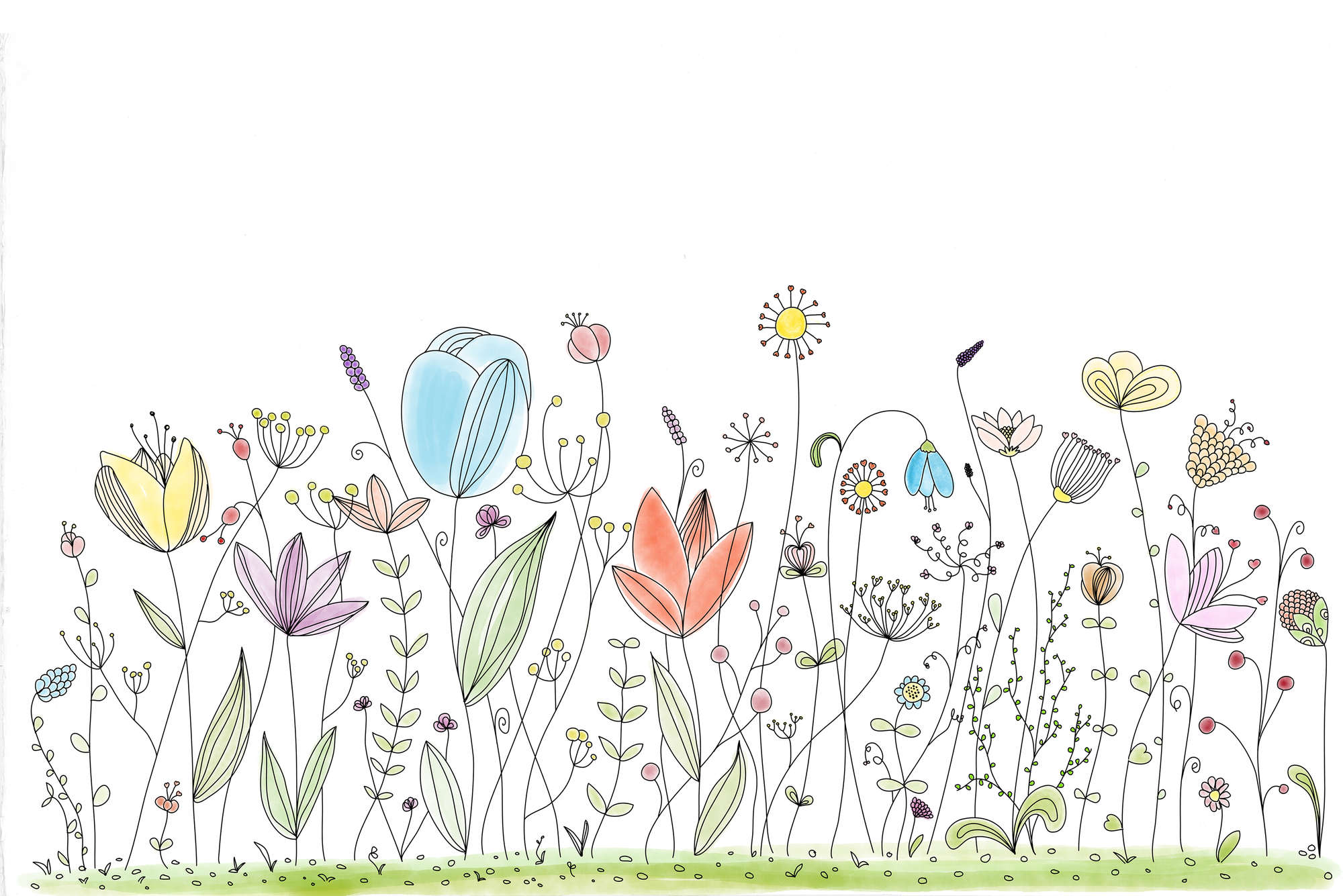             Kinder Fototapete mit bunten gezeichneten Blumen auf Matt Glattvlies
        