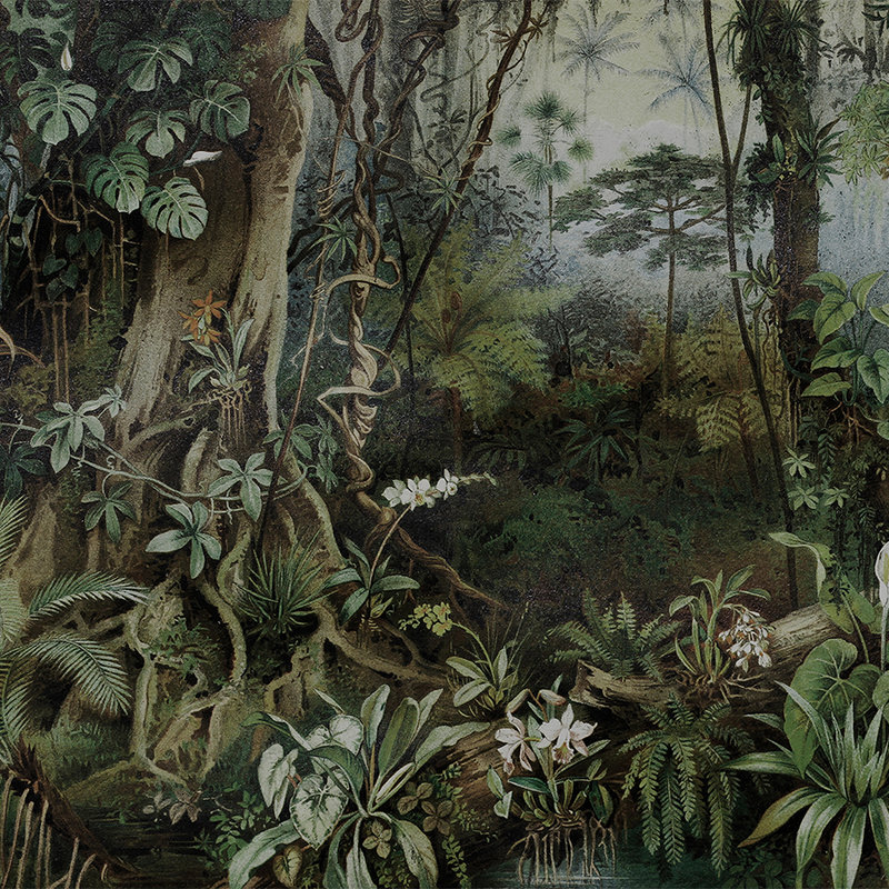Dschungel Fototapete im Zeichenstil – Walls by Patel
