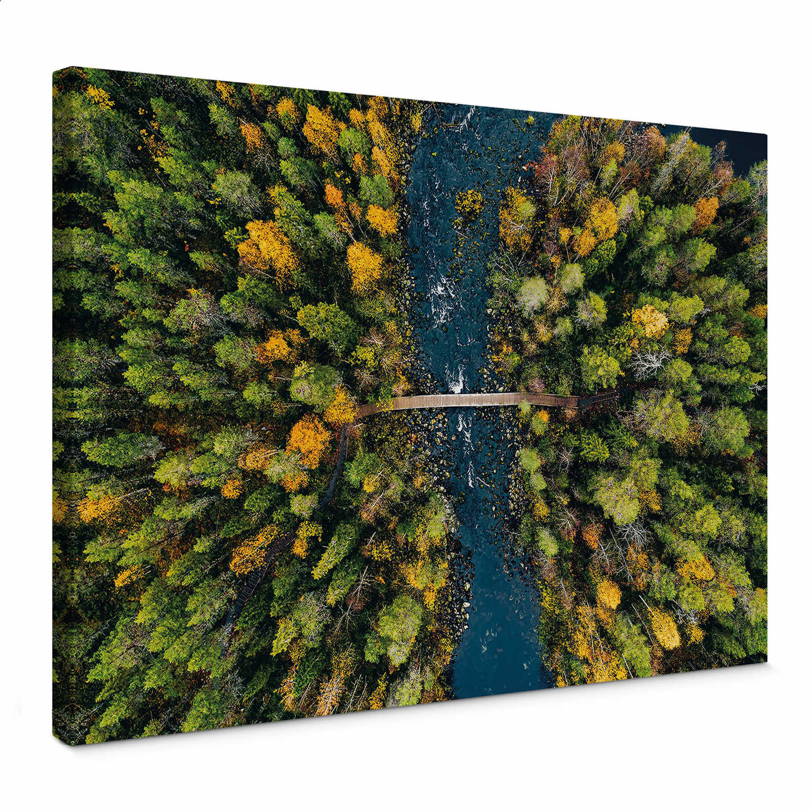         Landschaft Leinwandbild Wald in Finnland – 0,70 m x 0,50 m
    
