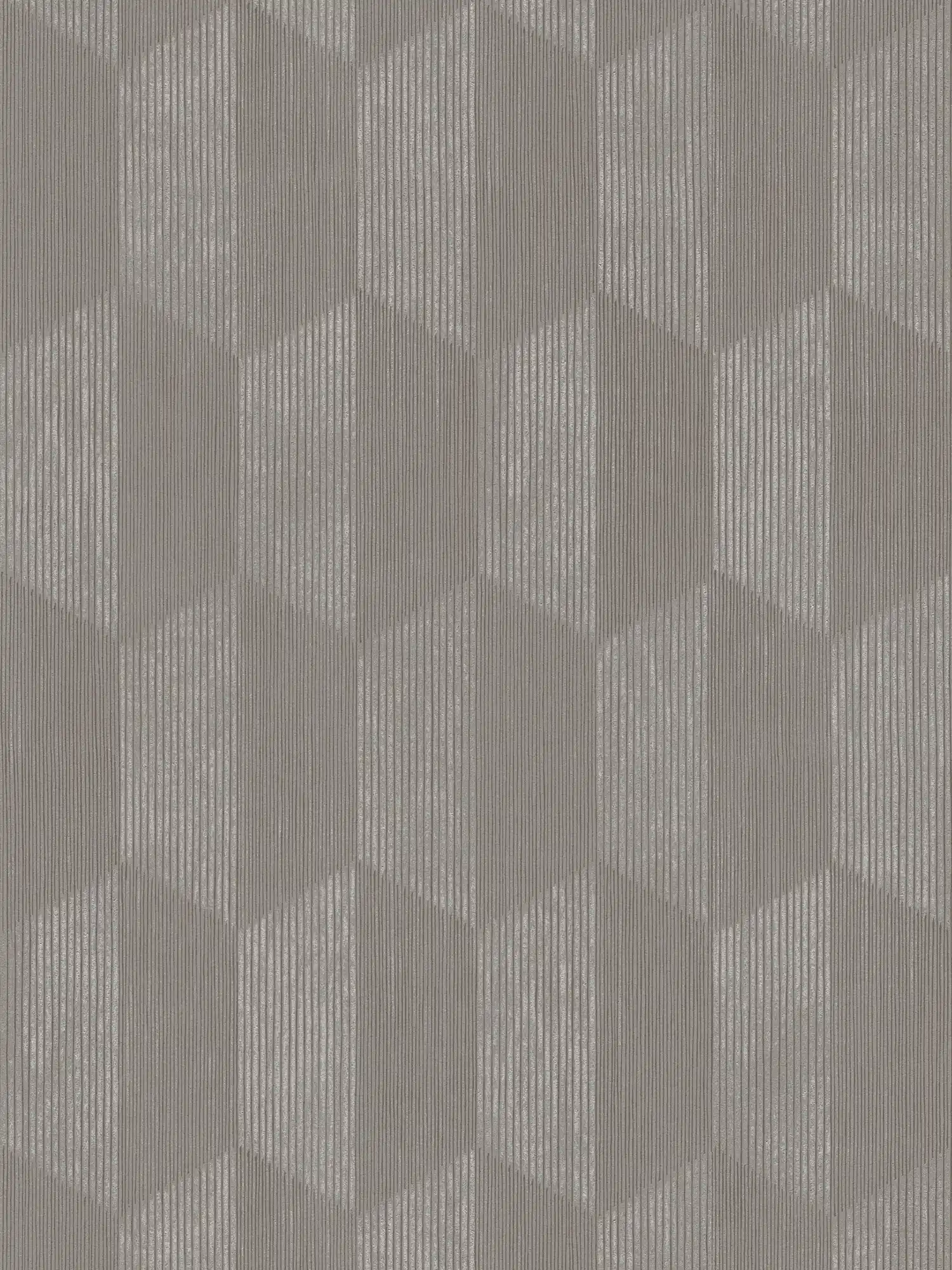Strukturtapete mit 3D Grafik Muster – Grau, Beige
