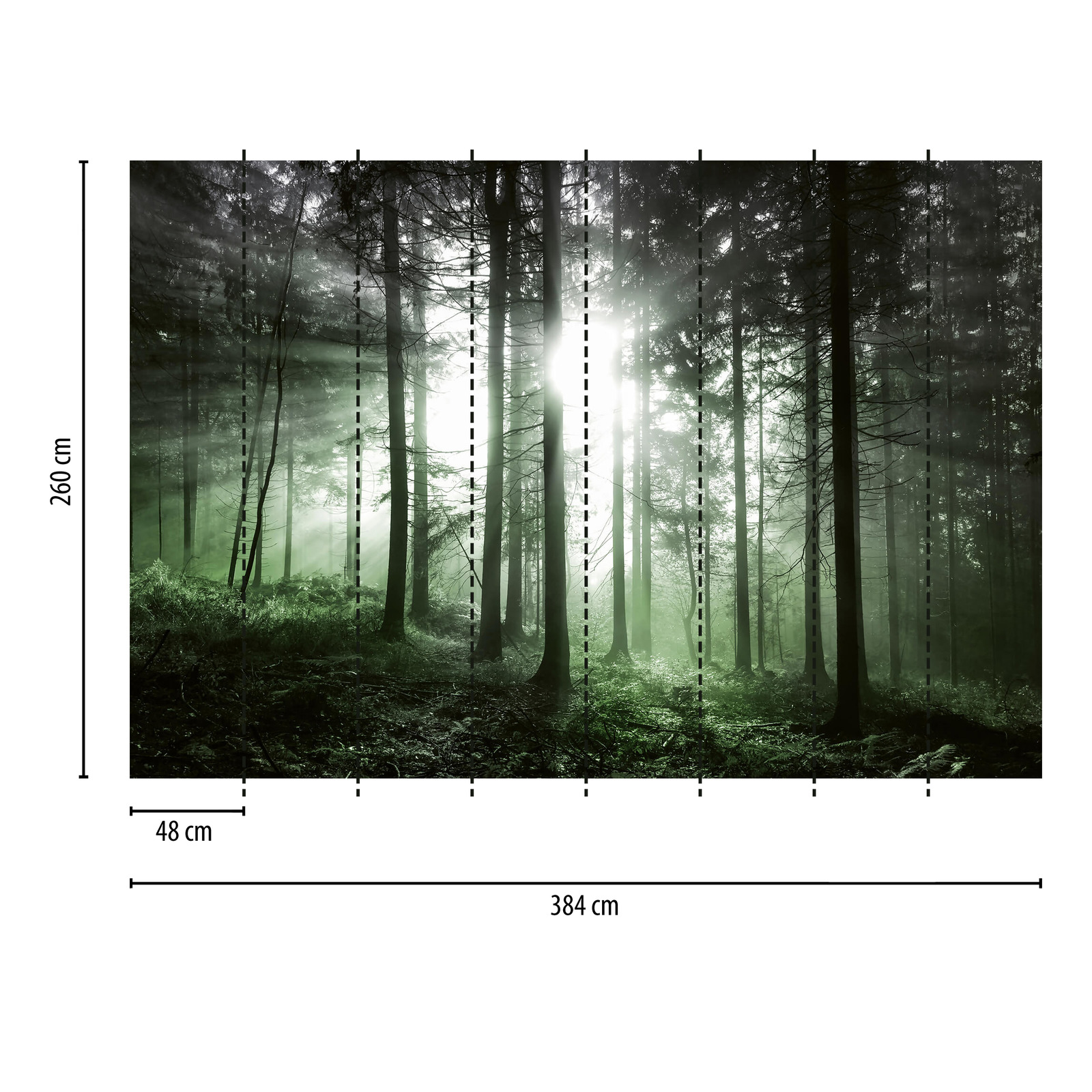             Fototapete Wald mit Lichteinfall – Grün, Schwarz, Weiß
        