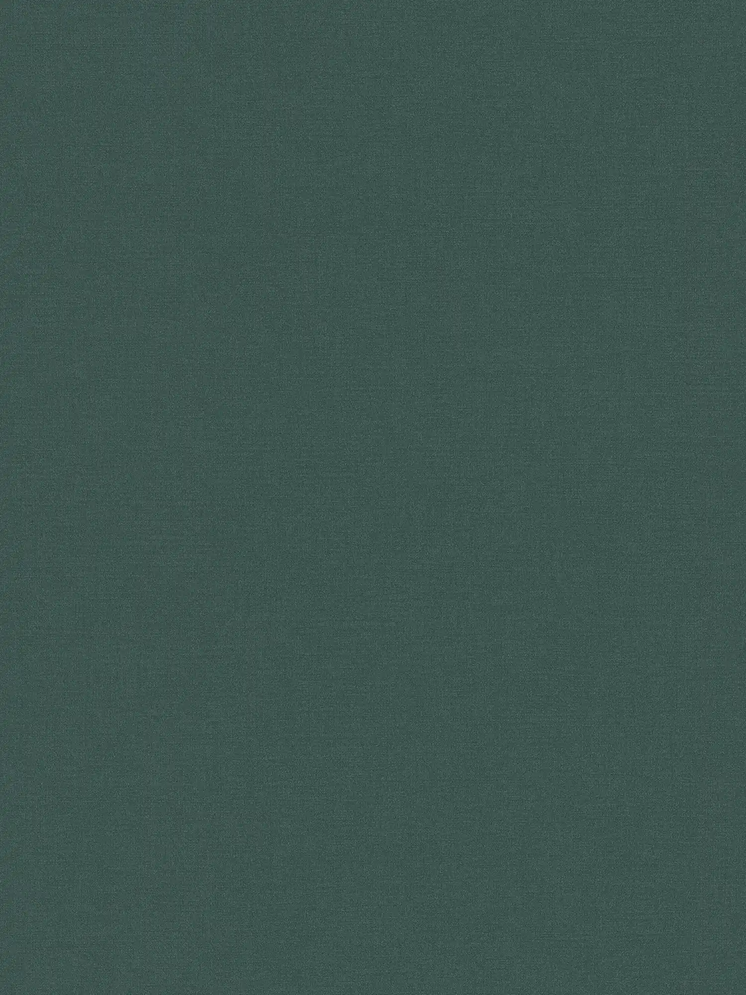 Einfarbige Unitapete in dunkler Farbe – Petrol, Grün
