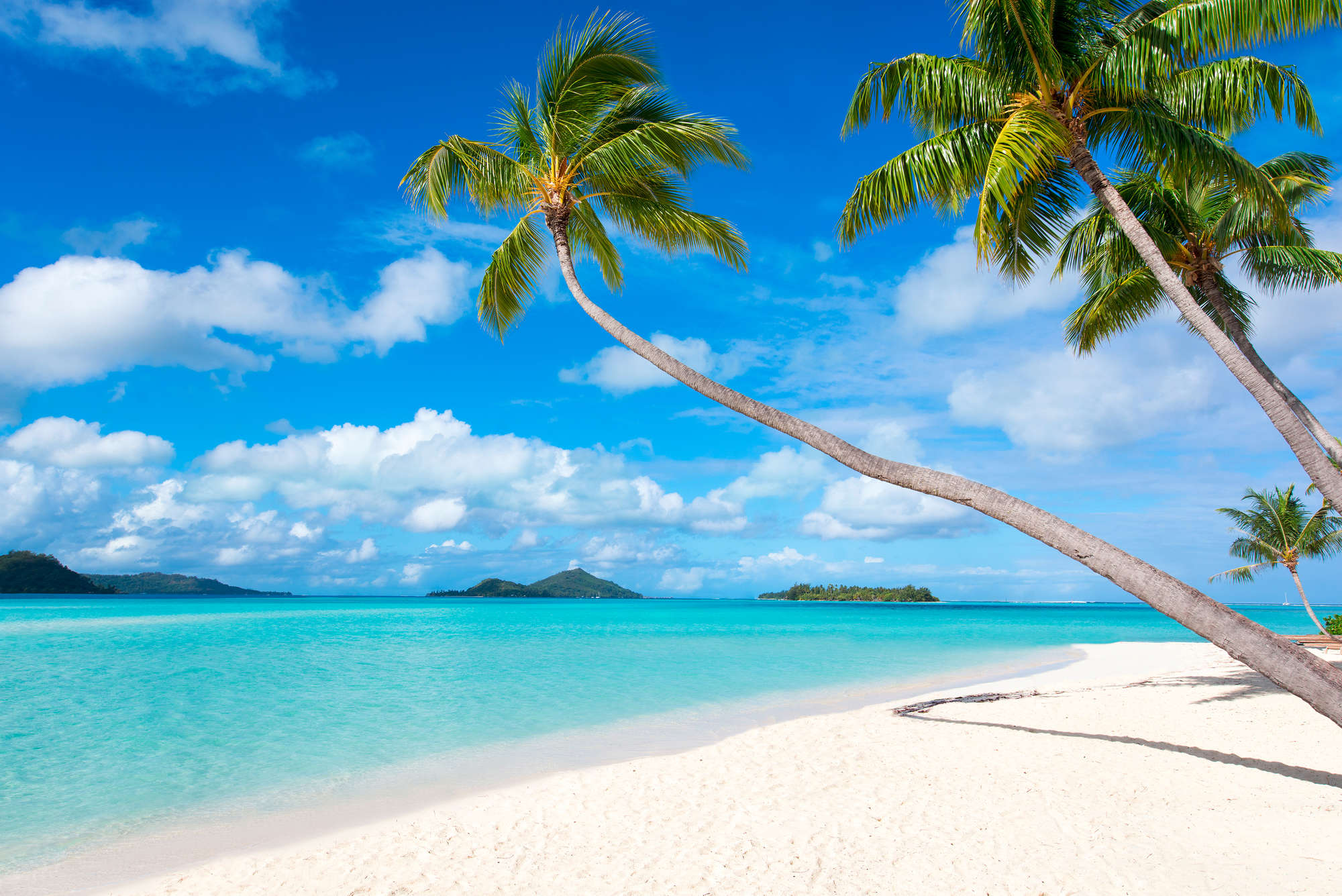             Strand Fototapete Palmen am Meer auf Premium Glattvlies
        