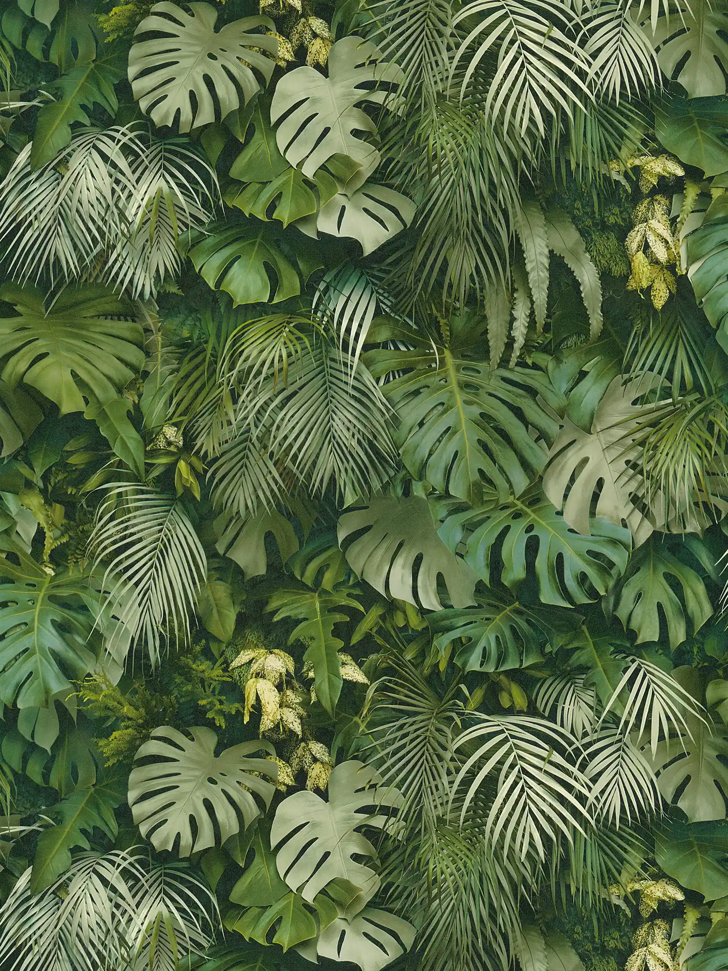         Tapete Grüner Blätterwald, realistisch, Farbakzente – Grün
    