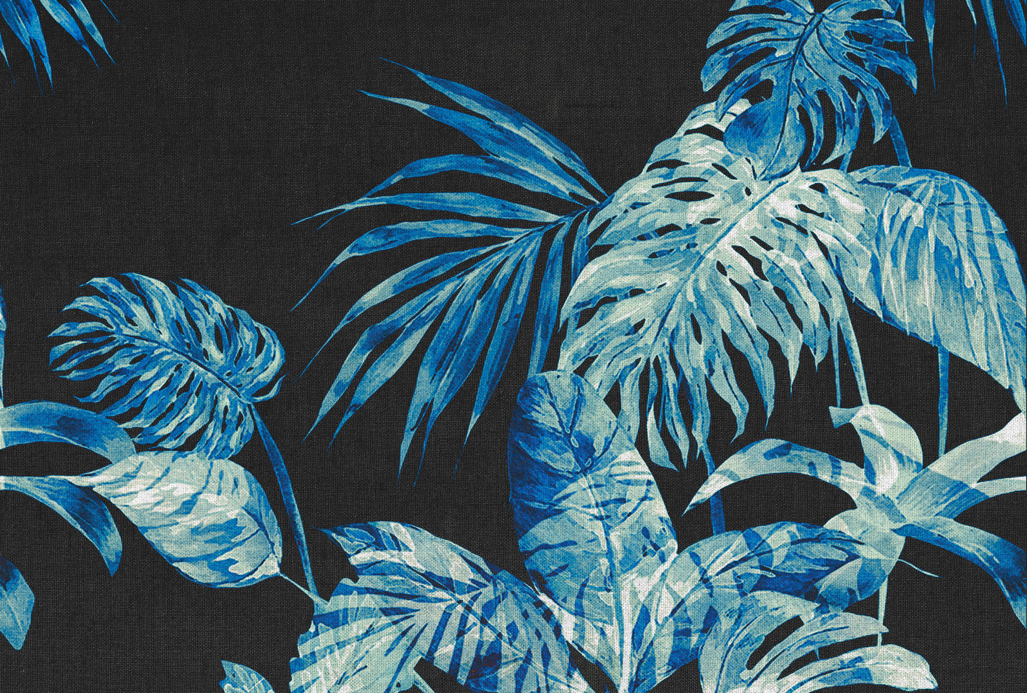             Blätter-Fototapete Aquarell Stil & schwarzem Hintergrund – Blau, Schwarz, Weiß
        