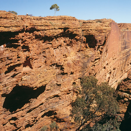 Kings Canyon – Fototapete mit Felsenschlucht
