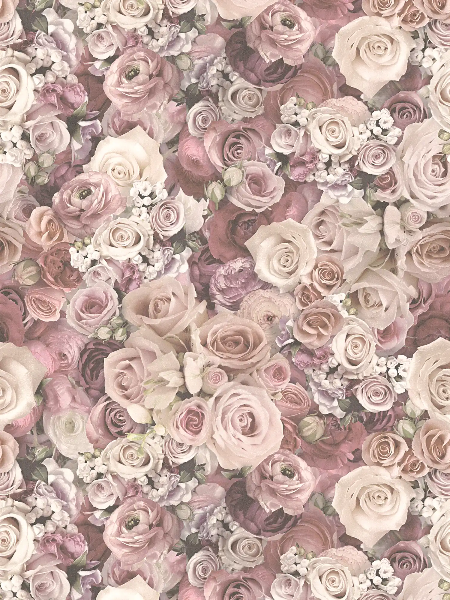 Tapete Rosen in zartem Rosa Blütenmeer – Creme
