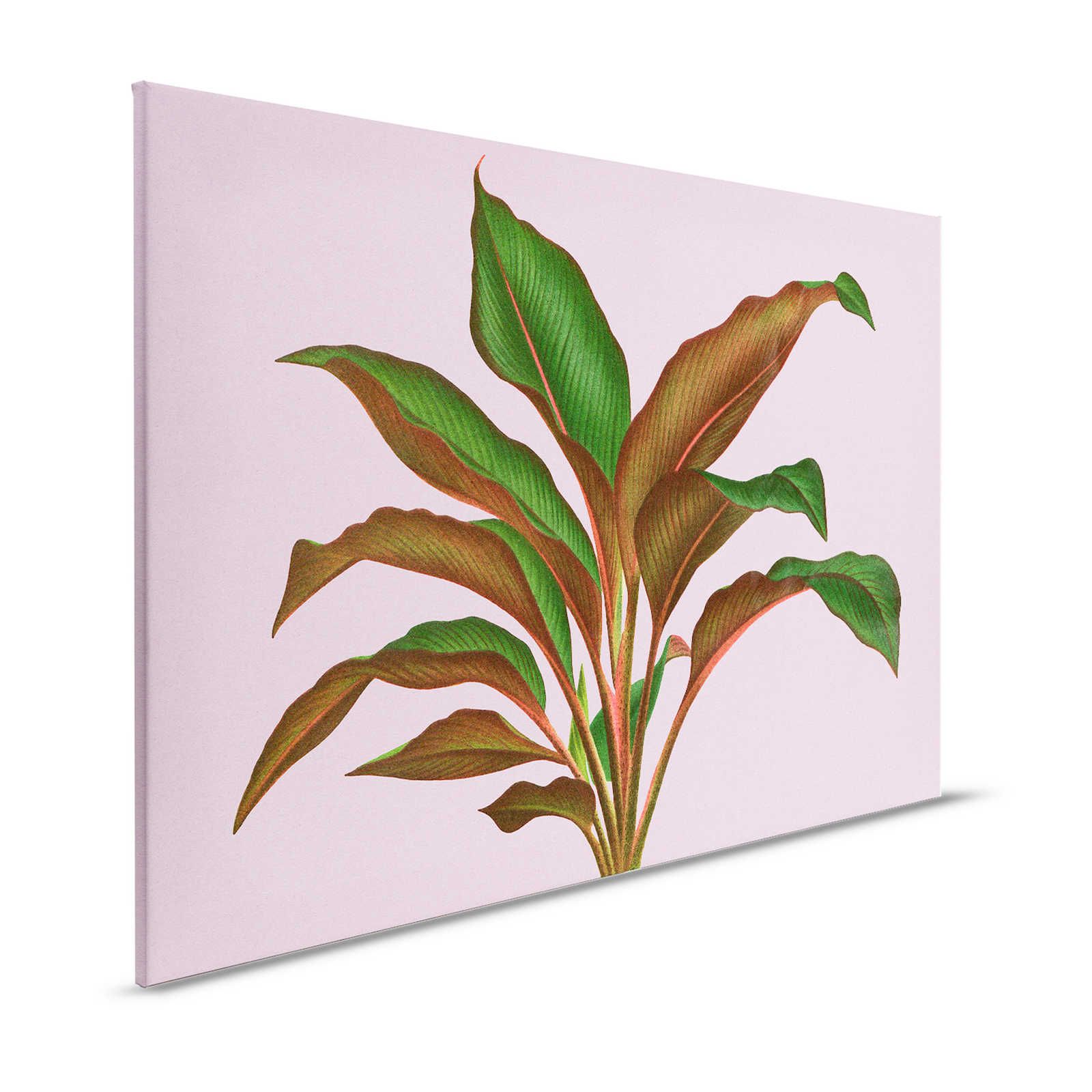 Leaf Garden 3 - Blätter Leinwandbild Rosa mit tropischem Farnblatt – 1,20 m x 0,80 m
