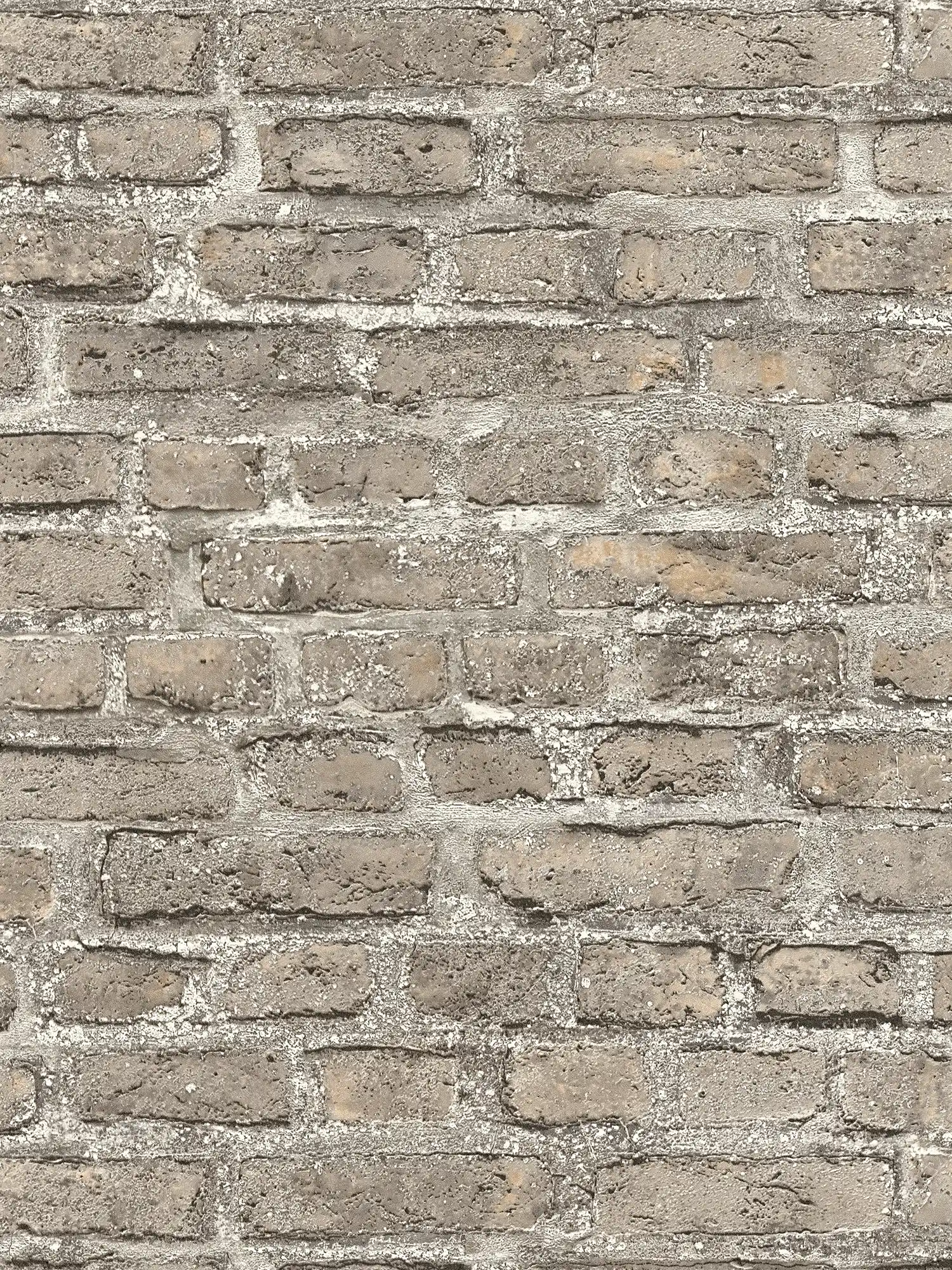         Tapete mit rustikalem Mauer-Motiv im Industrial Style – Grau, Braun
    