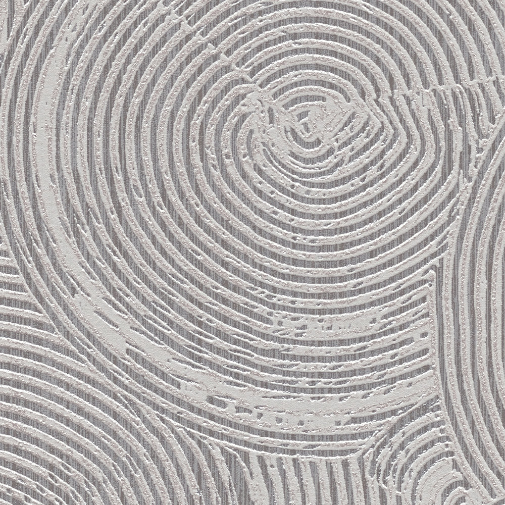             Putzoptik Tapete mit silbernem Metallic-Effekt – Grau, Metallic, Weiß
        