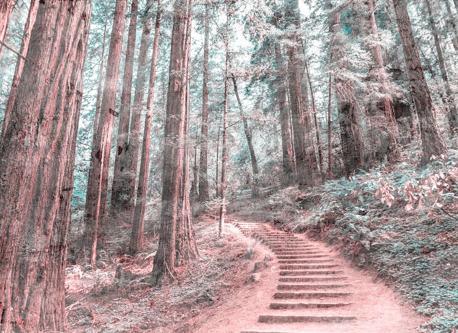             Holztreppe durch den Wald – Braun, Grün, Weiß
        